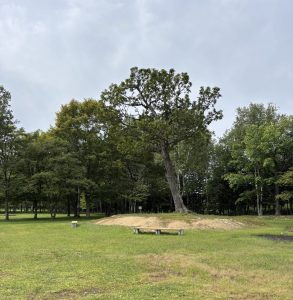 活動ブログ〜ぷかぷかの日常をスタッフが綴っています