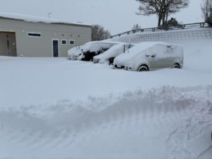 活動ブログ〜ぷかぷかの日常をスタッフが綴っています